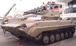 BMP-2 w Kliver 1.JPG